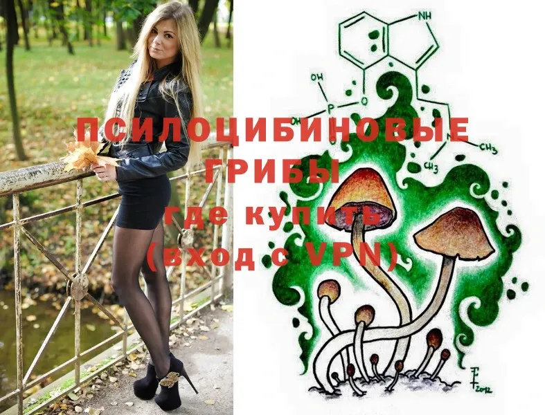 Псилоцибиновые грибы Psilocybe  где купить наркоту  Ржев 